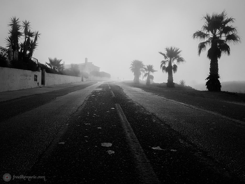 Foggy Morning in Portugal-2