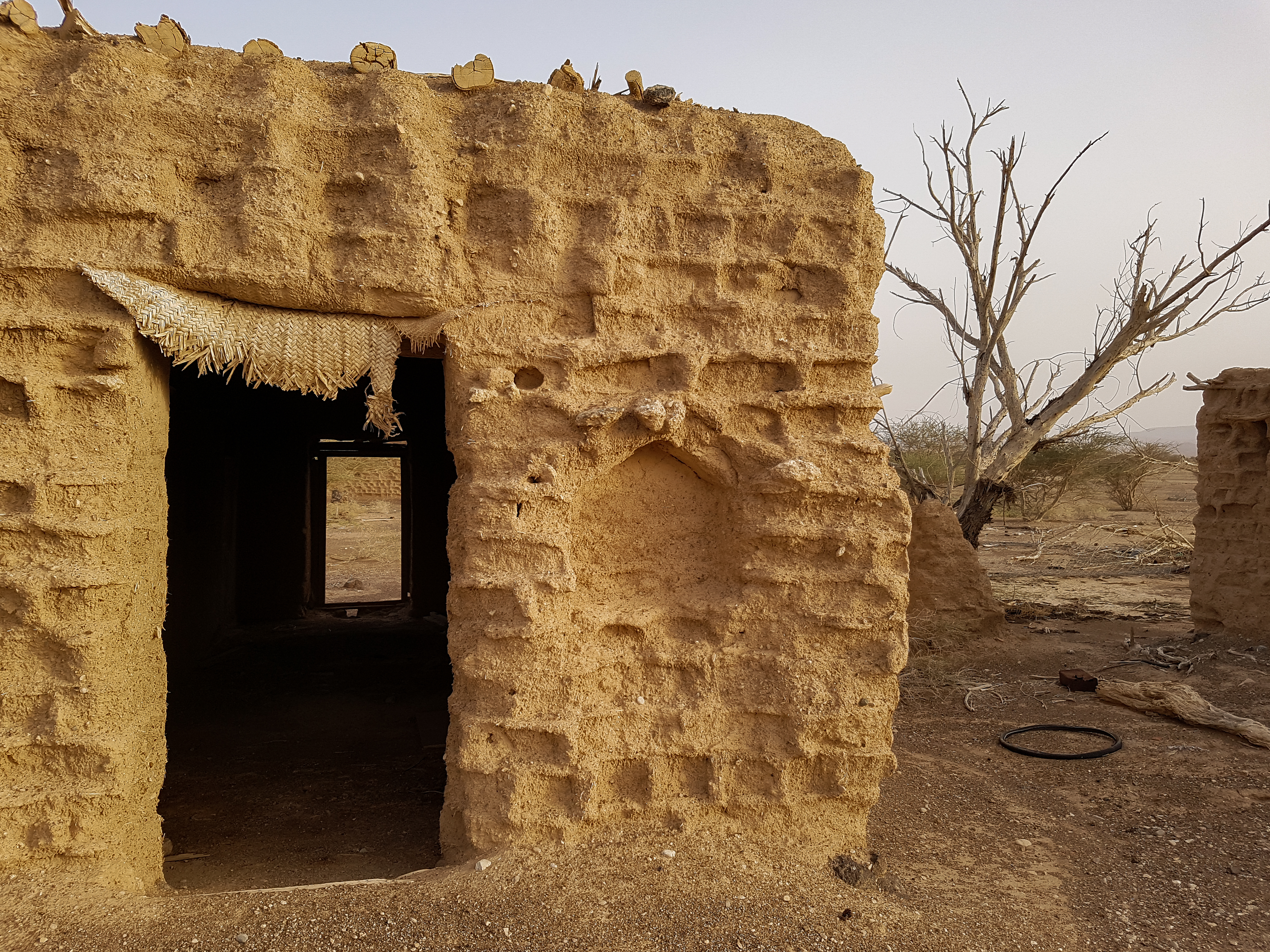 Deserted Plantation House Oman