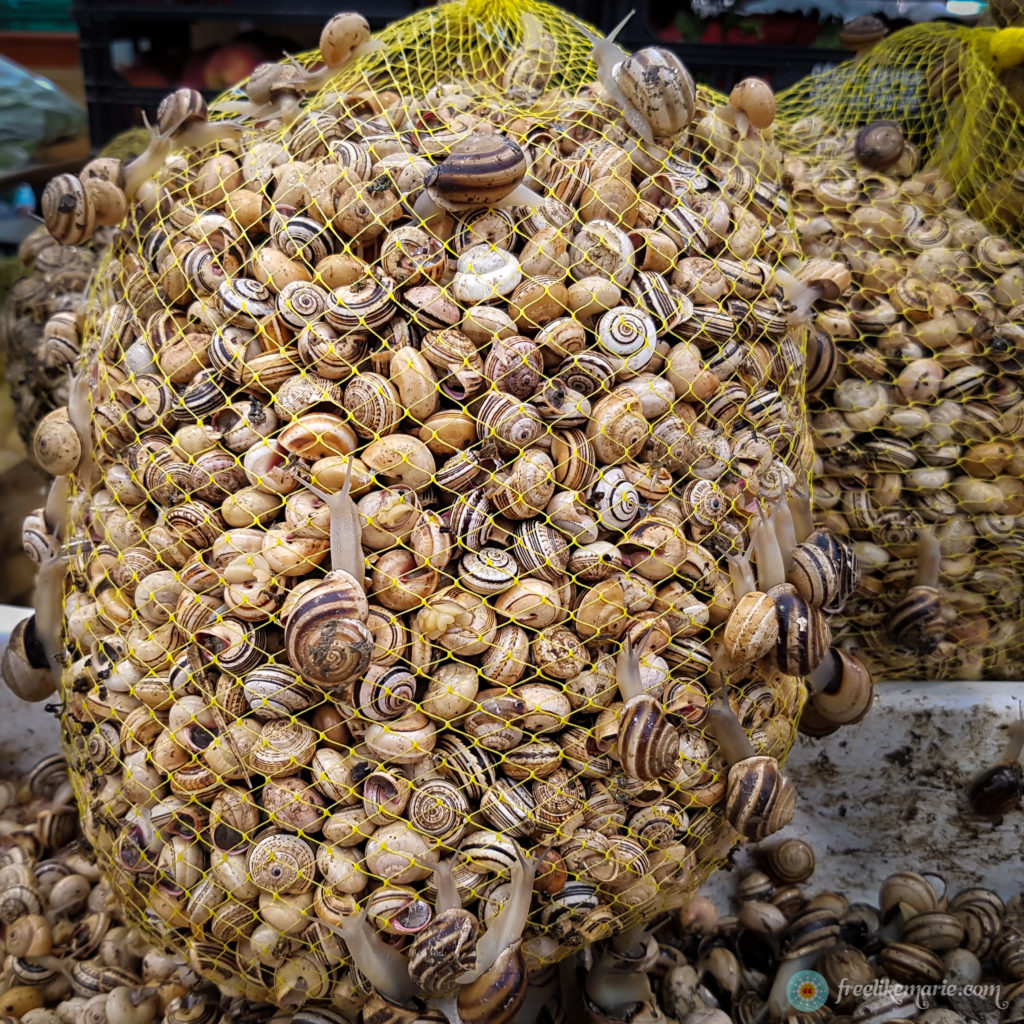 A Net Full of Snails Portugal