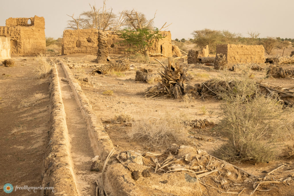 Abandoned Plantation Oman