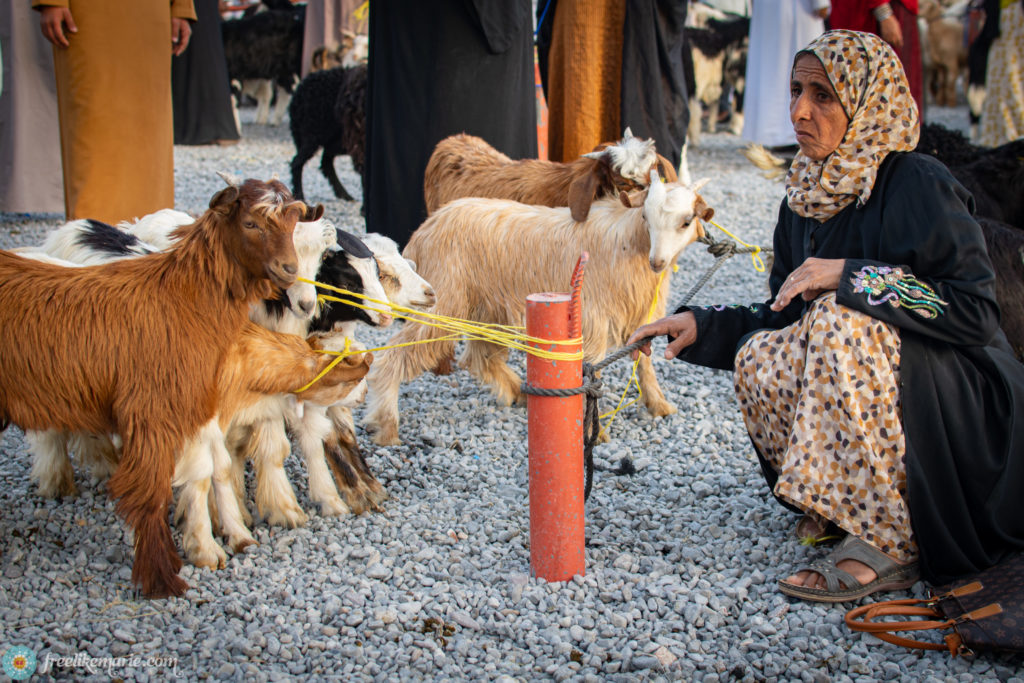 Berber Woman at Animal Market Nizwa
