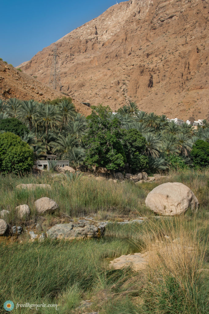 Mountains and Oasis Oman