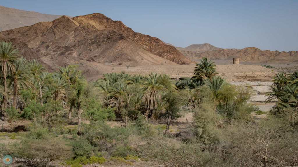Typical Landscape in Oman