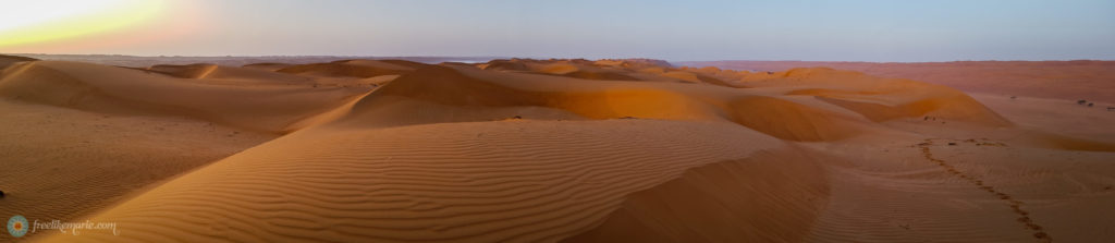 Wahiba Sands Oman Panorama