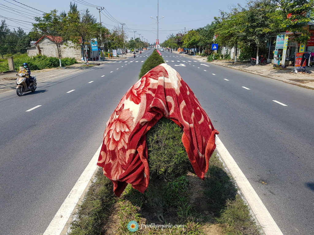 Drying the Blanket Da Nang Vietnam