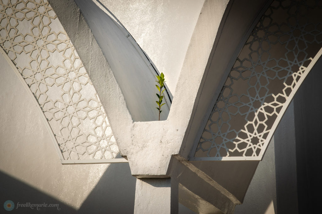 Plant in a Mosque Facade