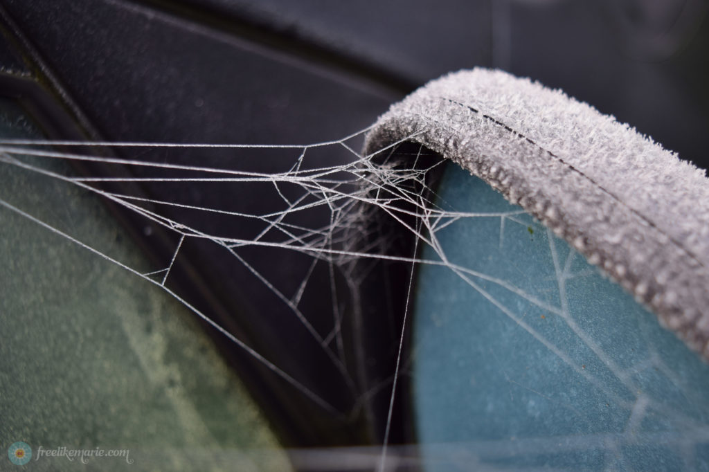 Frozen Cobweb on Car Mirror