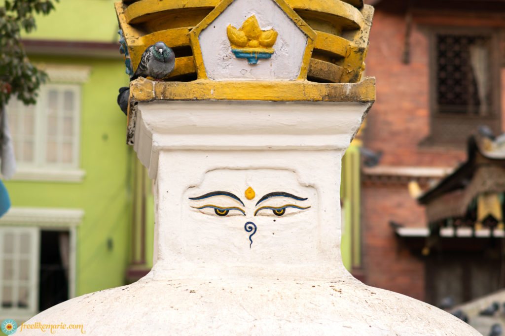 Stupa in Kathmandu with Dove