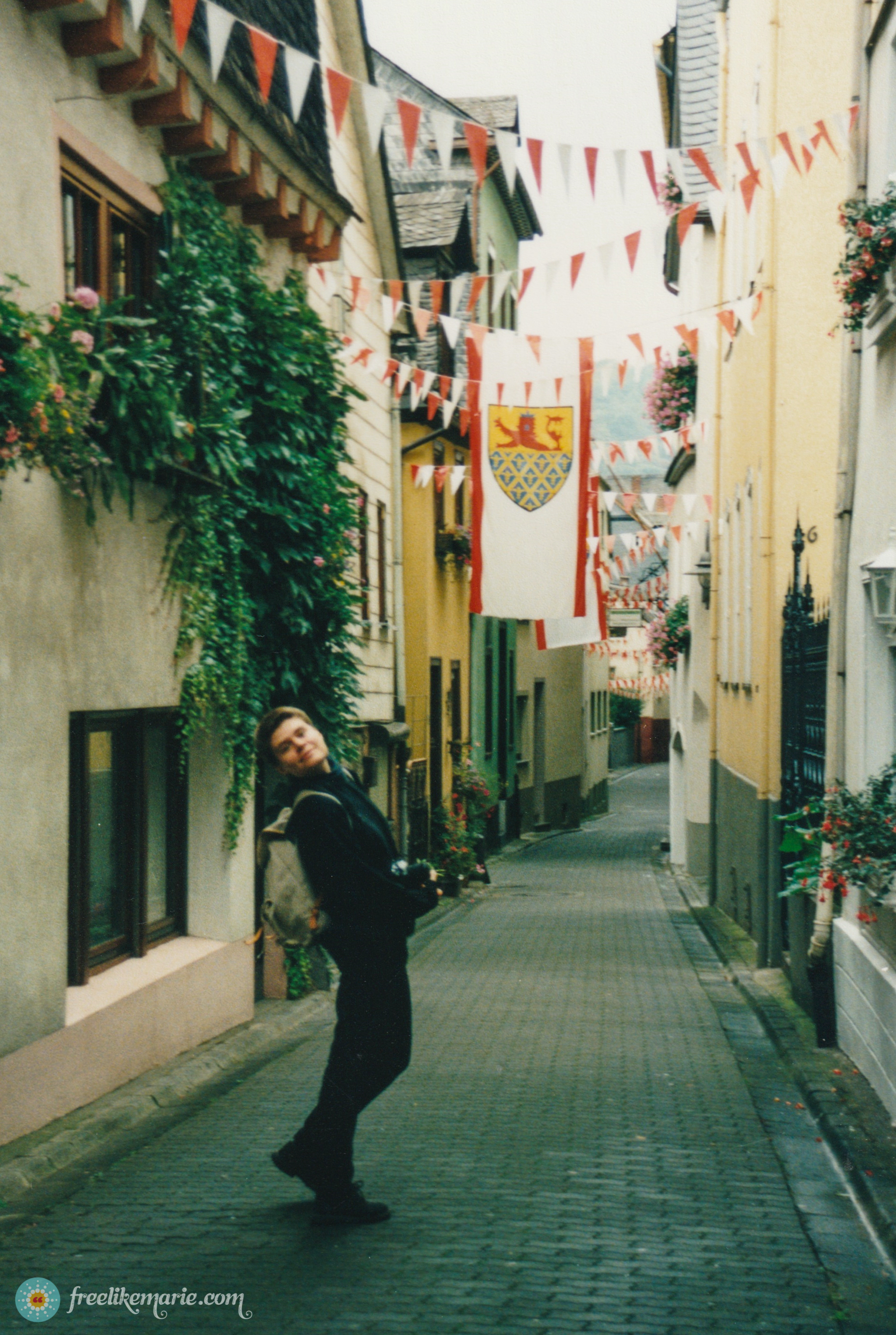 St Goar on the Rhine 1996