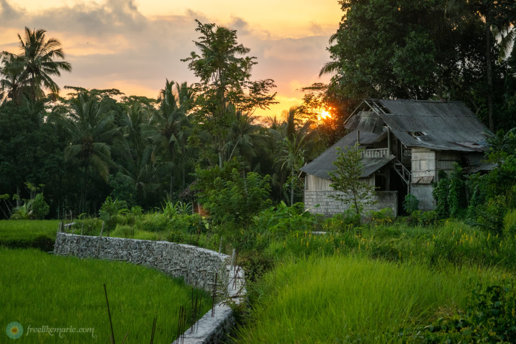 Sunset Mood in Rural Bali