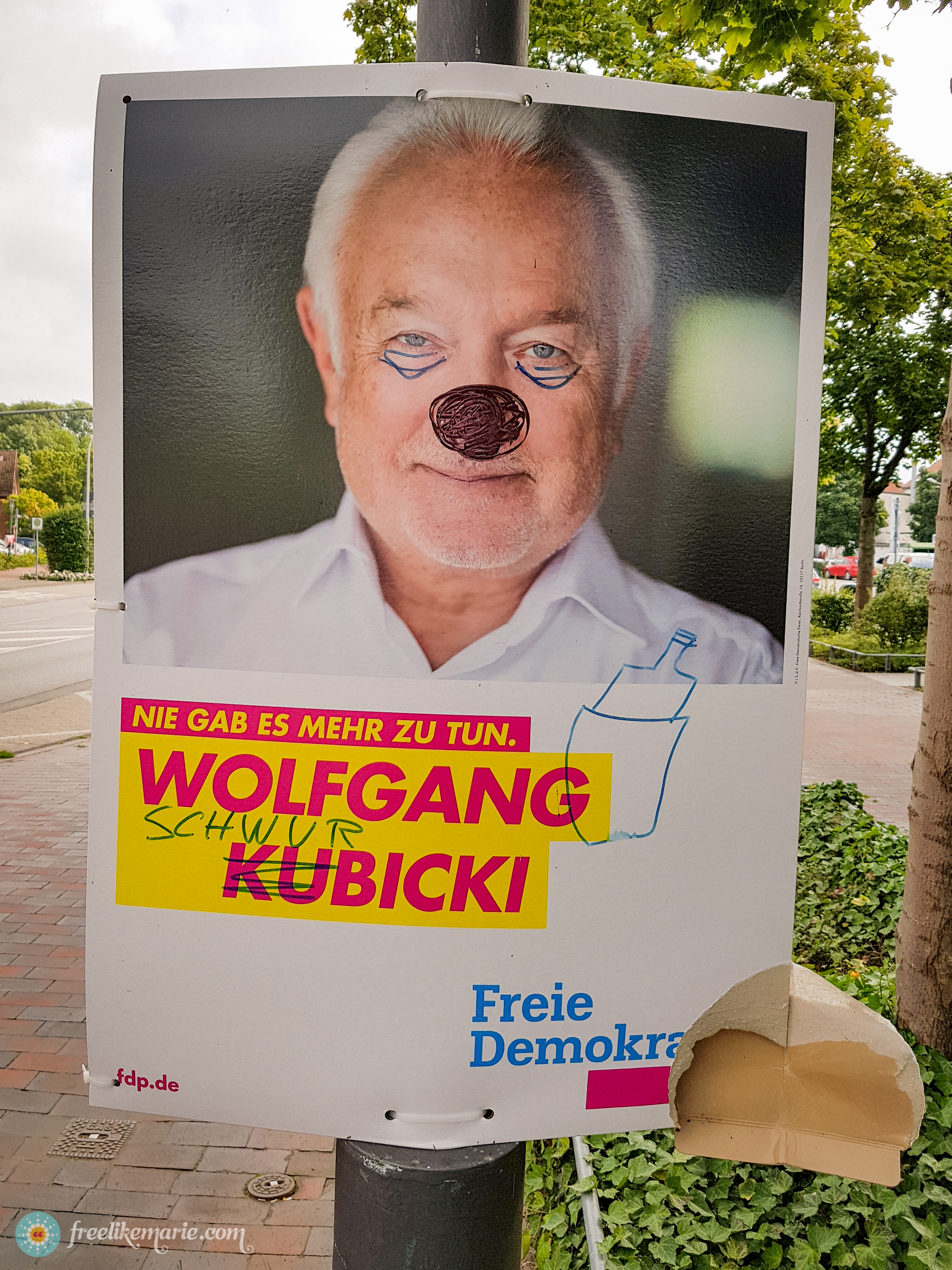 Election poster FDP