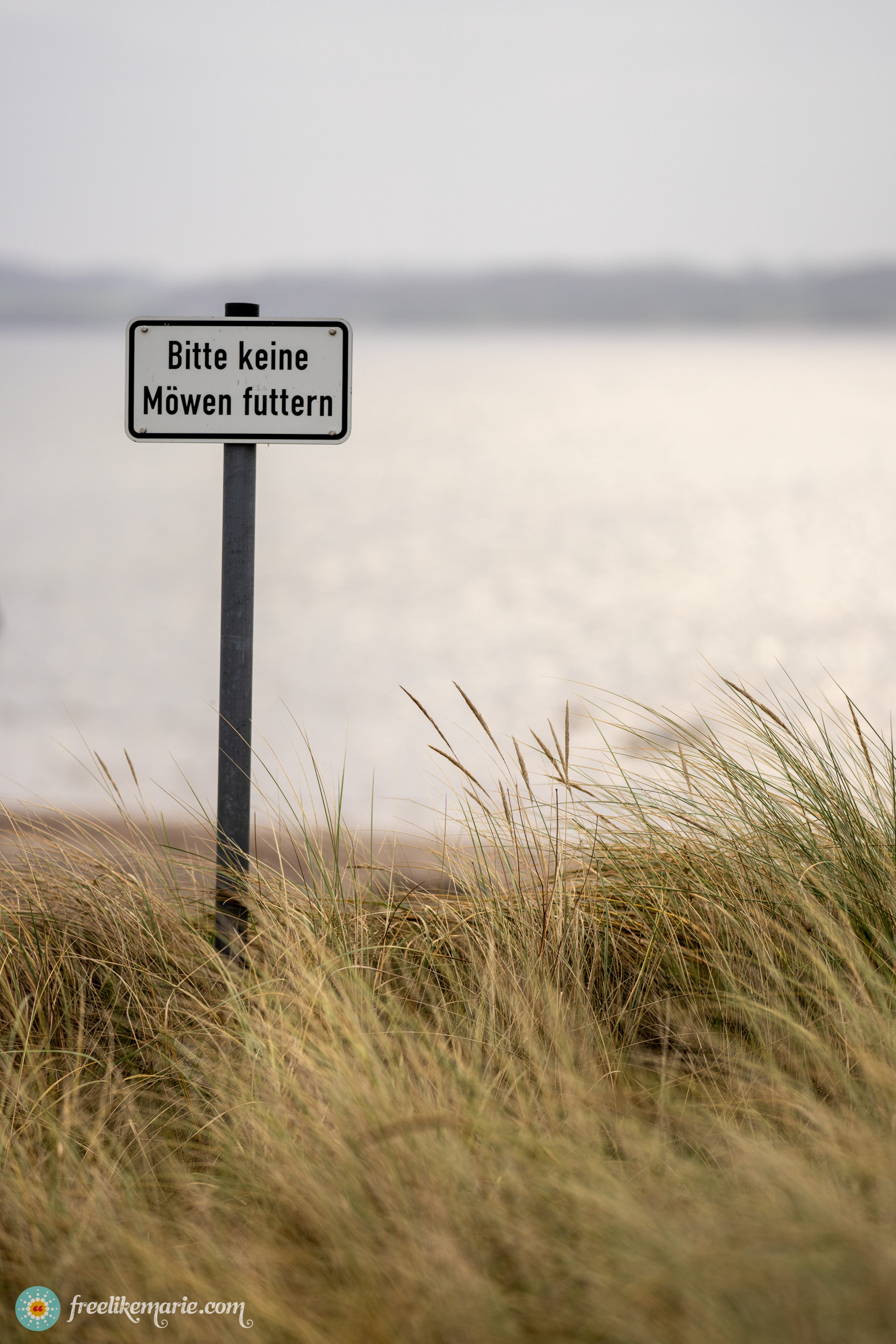 Beach in Northern Germany