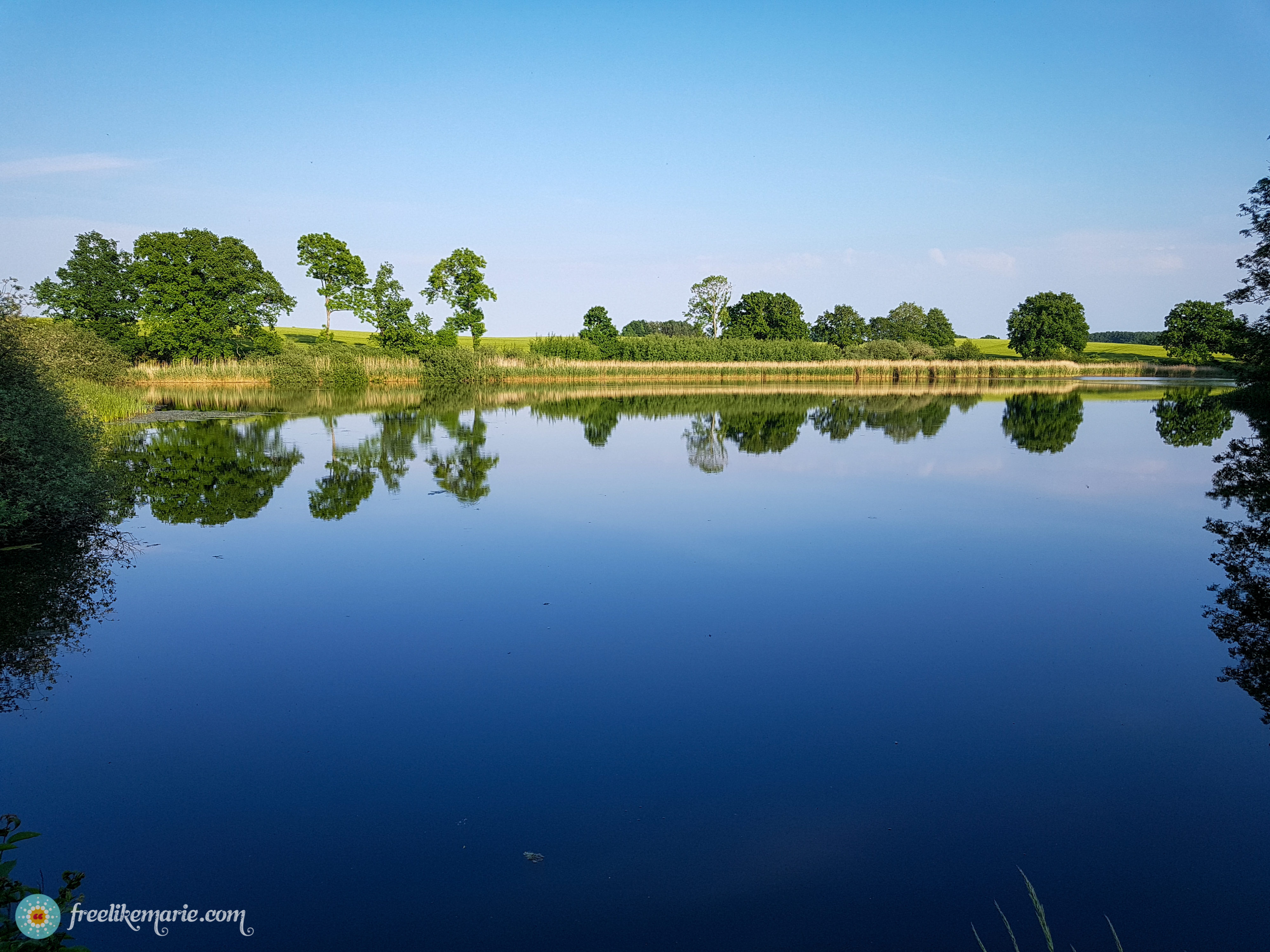 Nature in Northern Germany