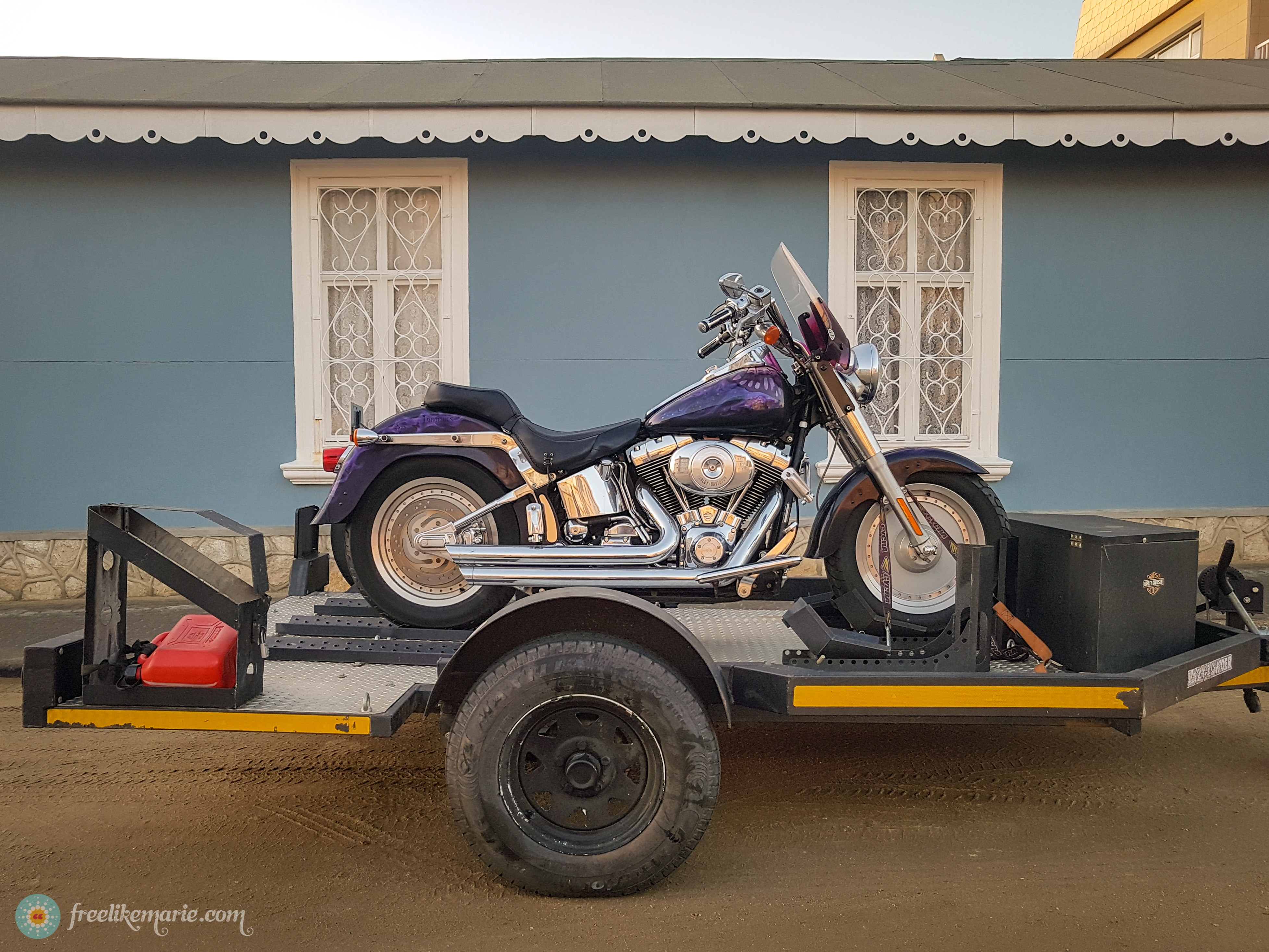 Harley on Wheels