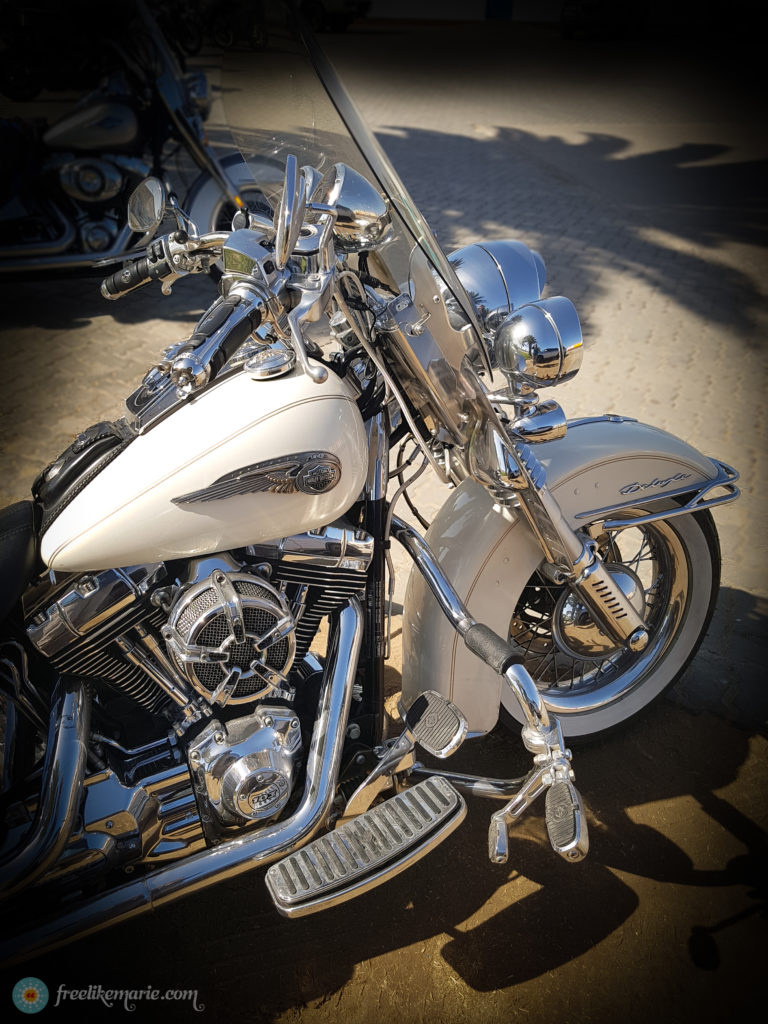 Vintage Harley To Die For