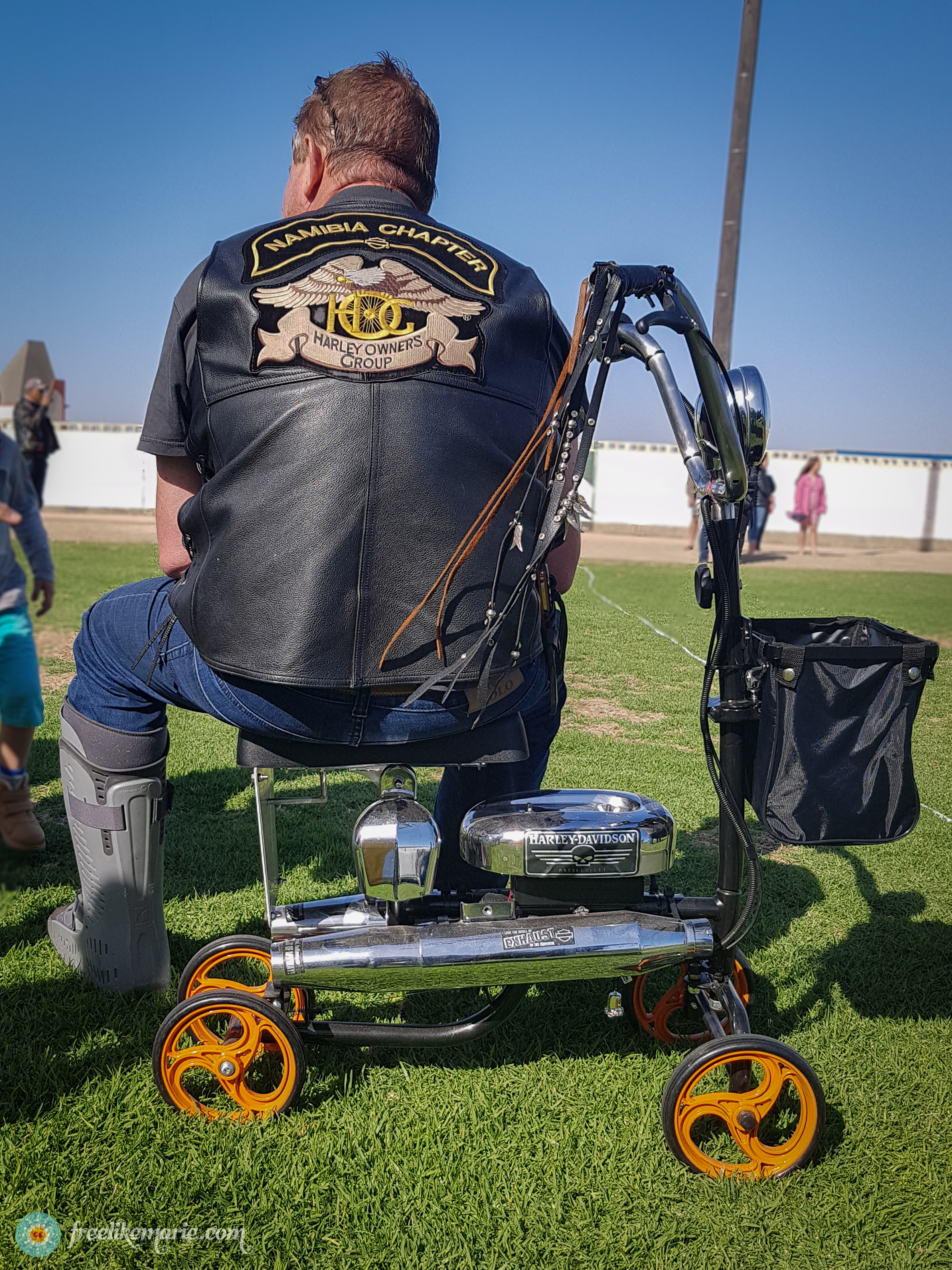 Wheeled Walker Harley Style