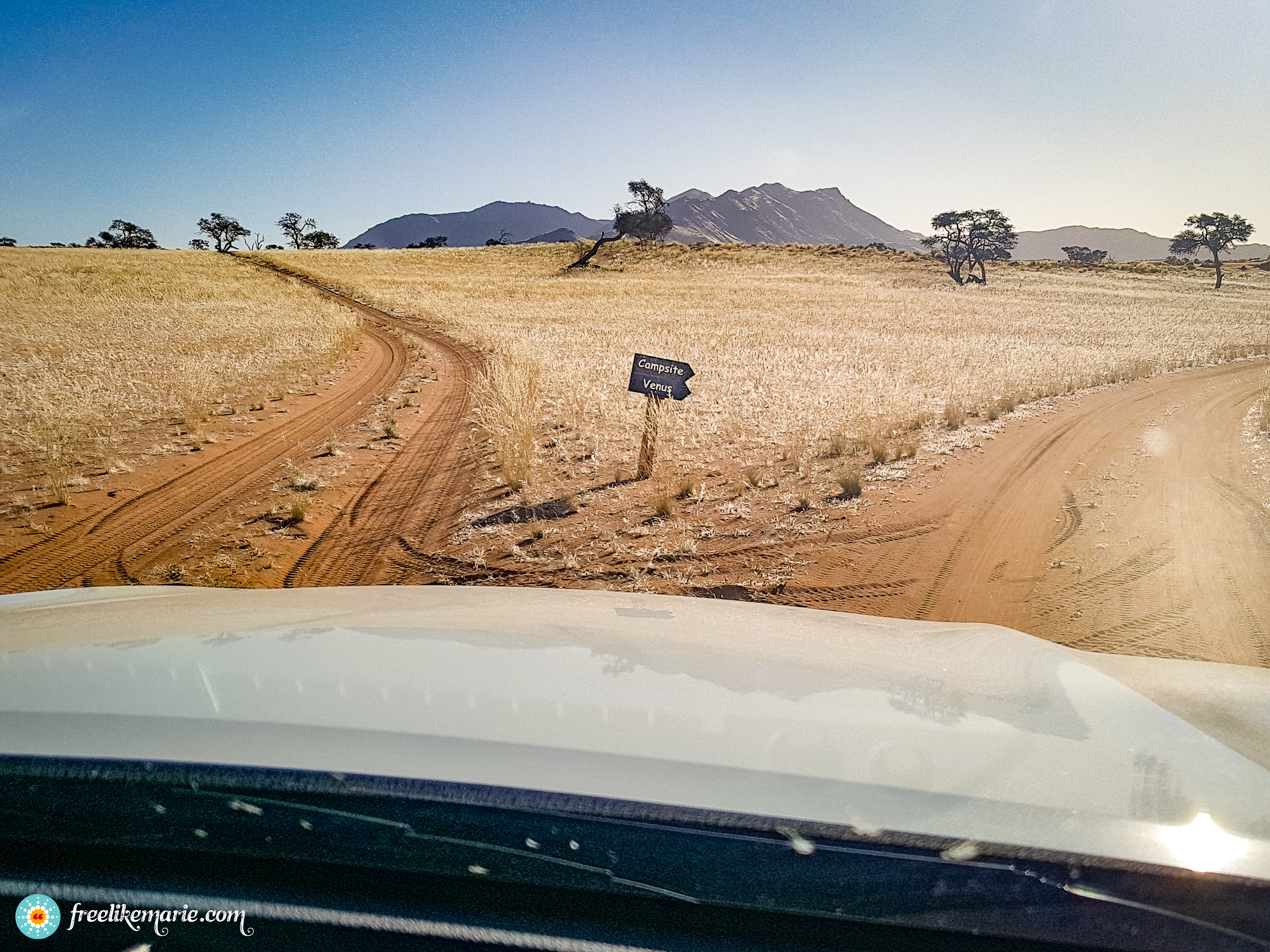 Headed for Venus Campsite