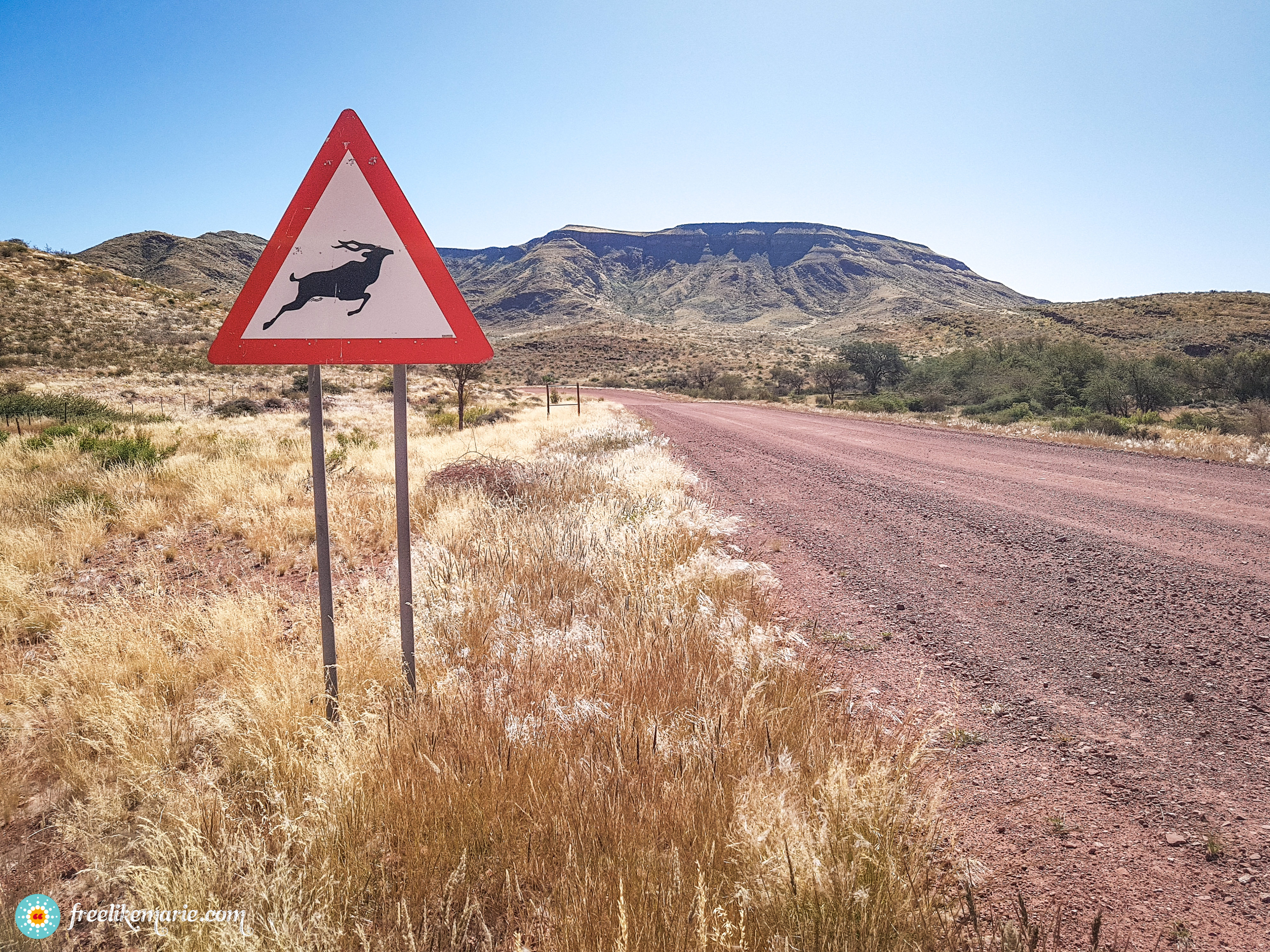 Kudu Crossing