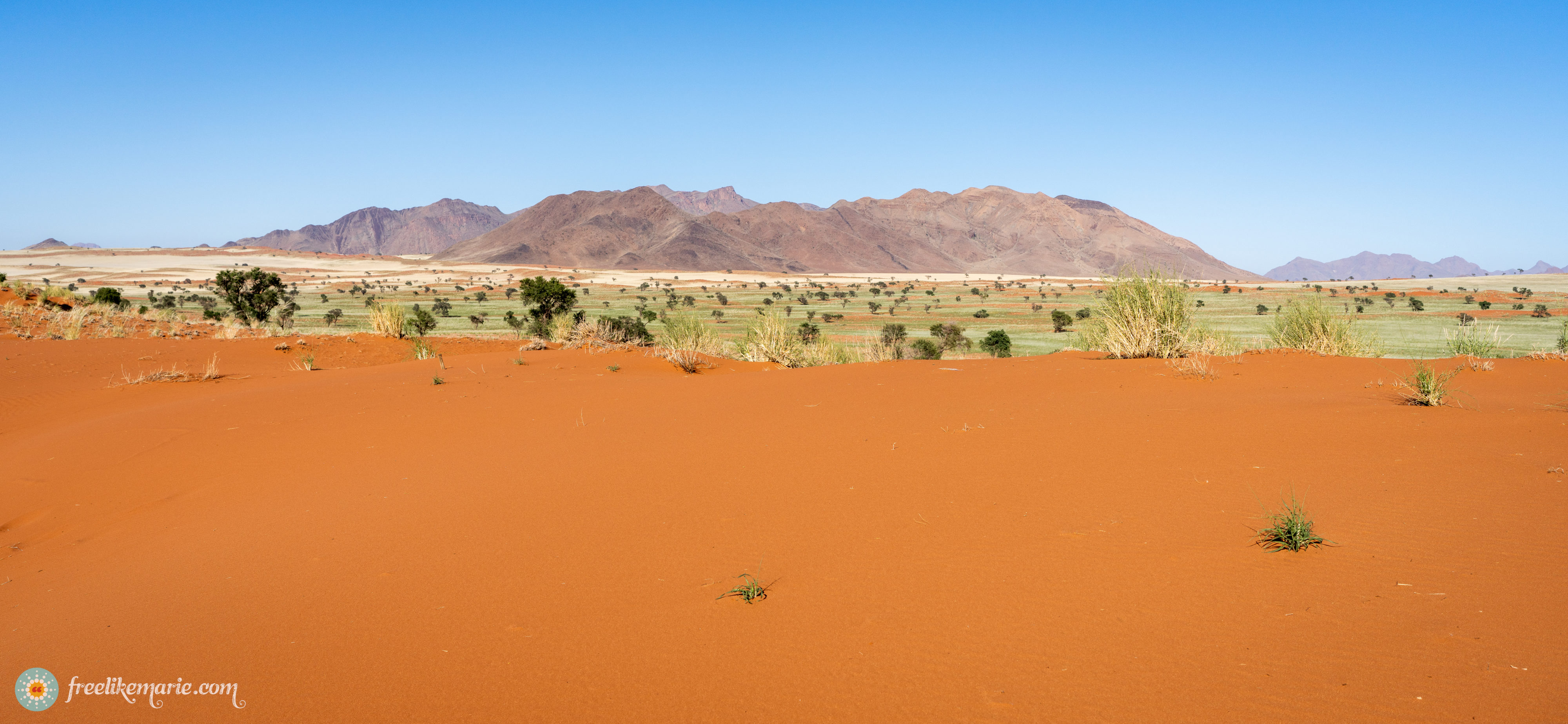 Red Dunes with Mountains