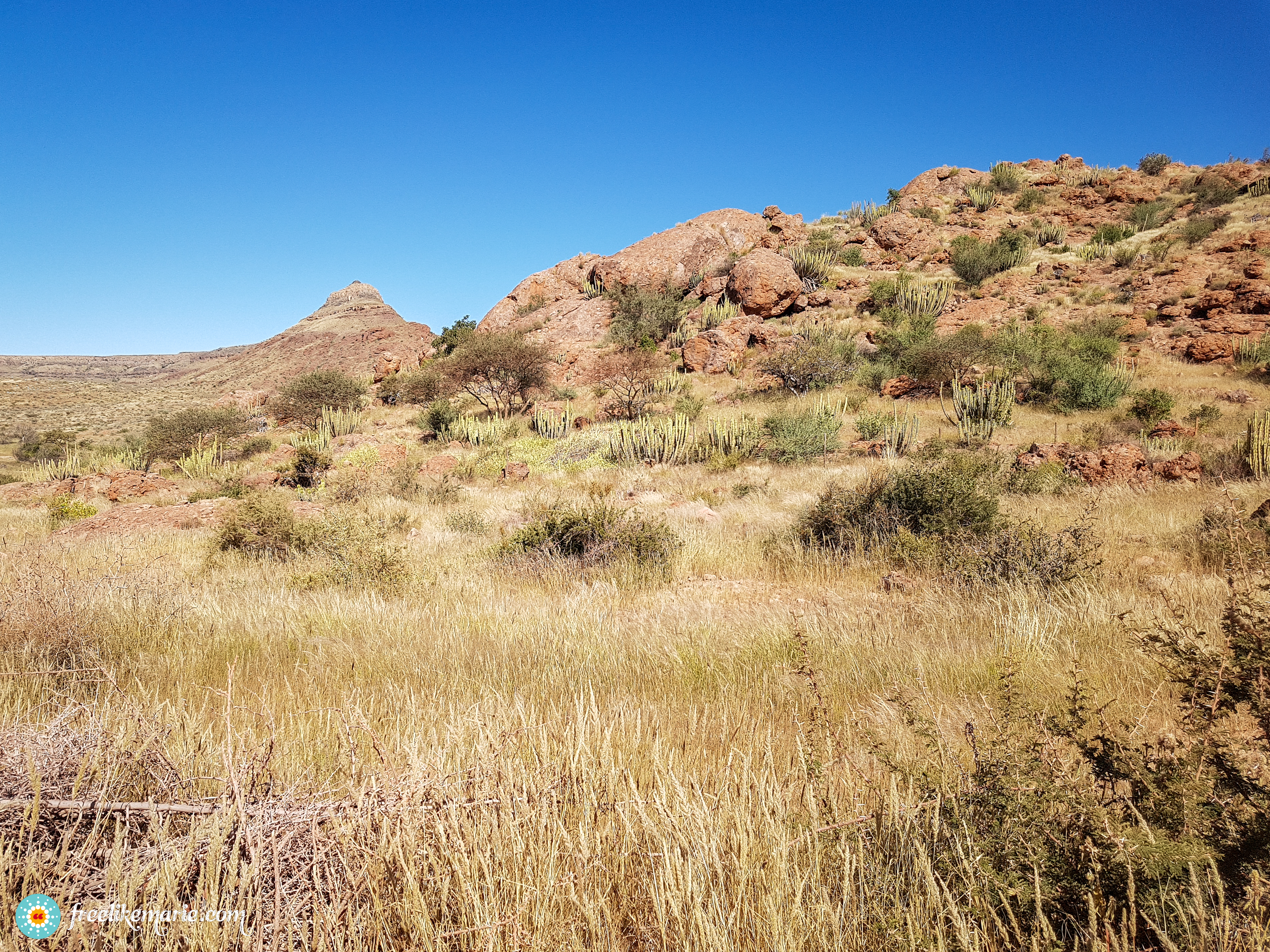 Southern Namibian Landscape