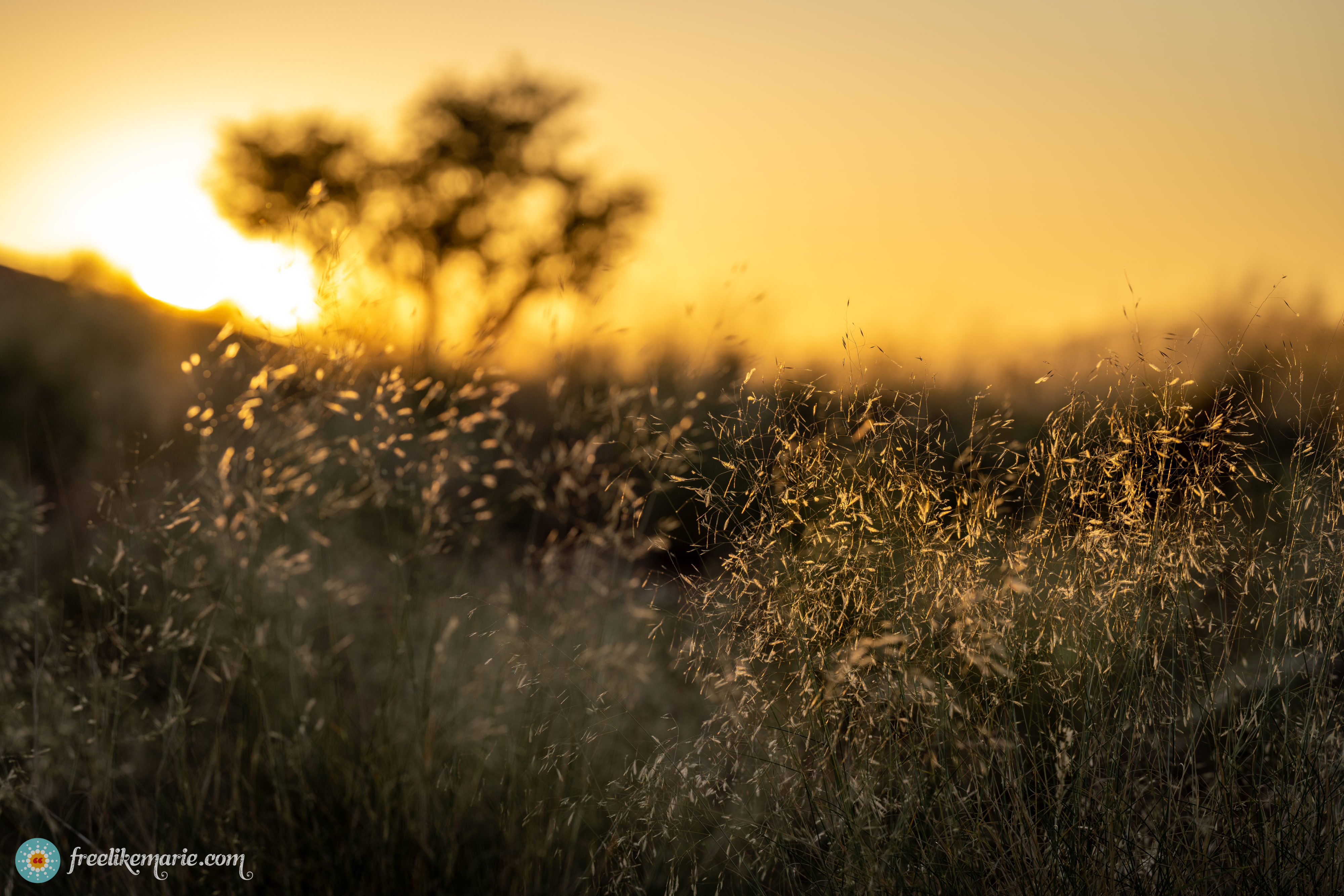 Sunset Mood in Namibia