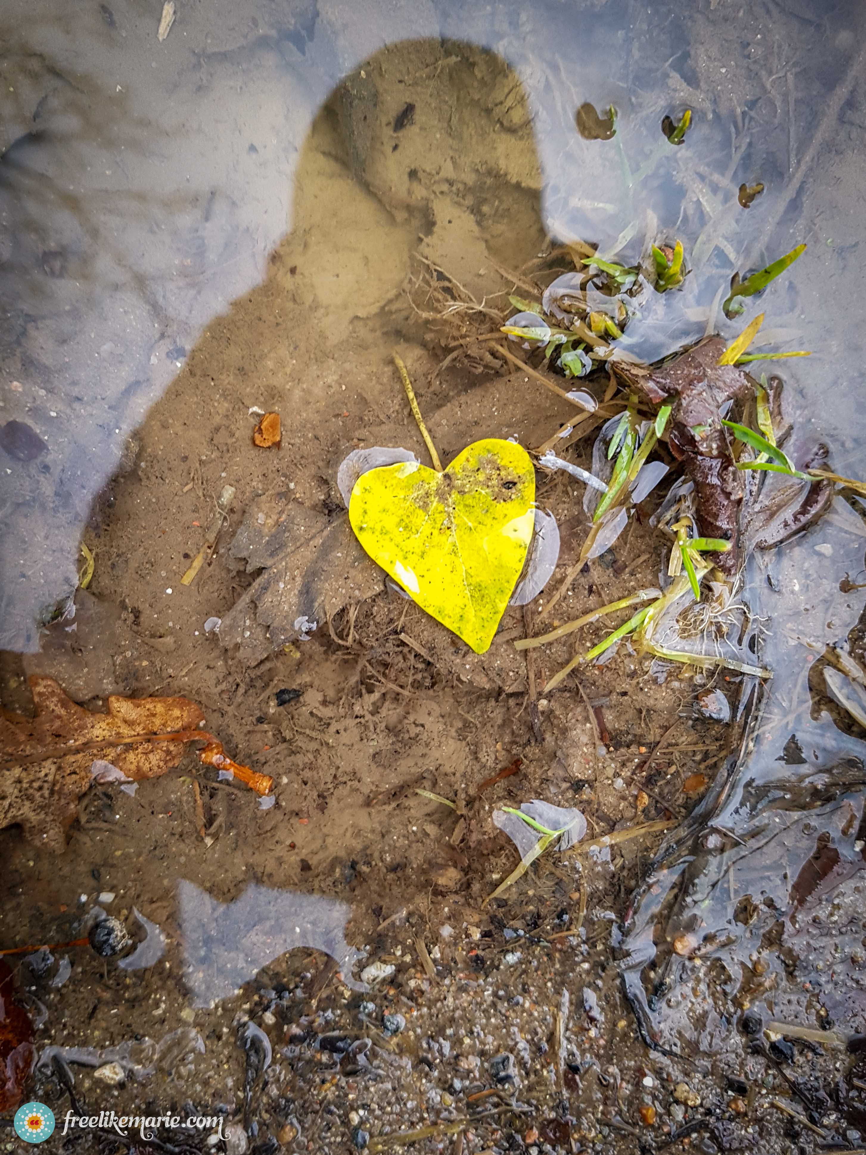 A yellow heart shaped leaf in a puddle symbolizing grief while traveling