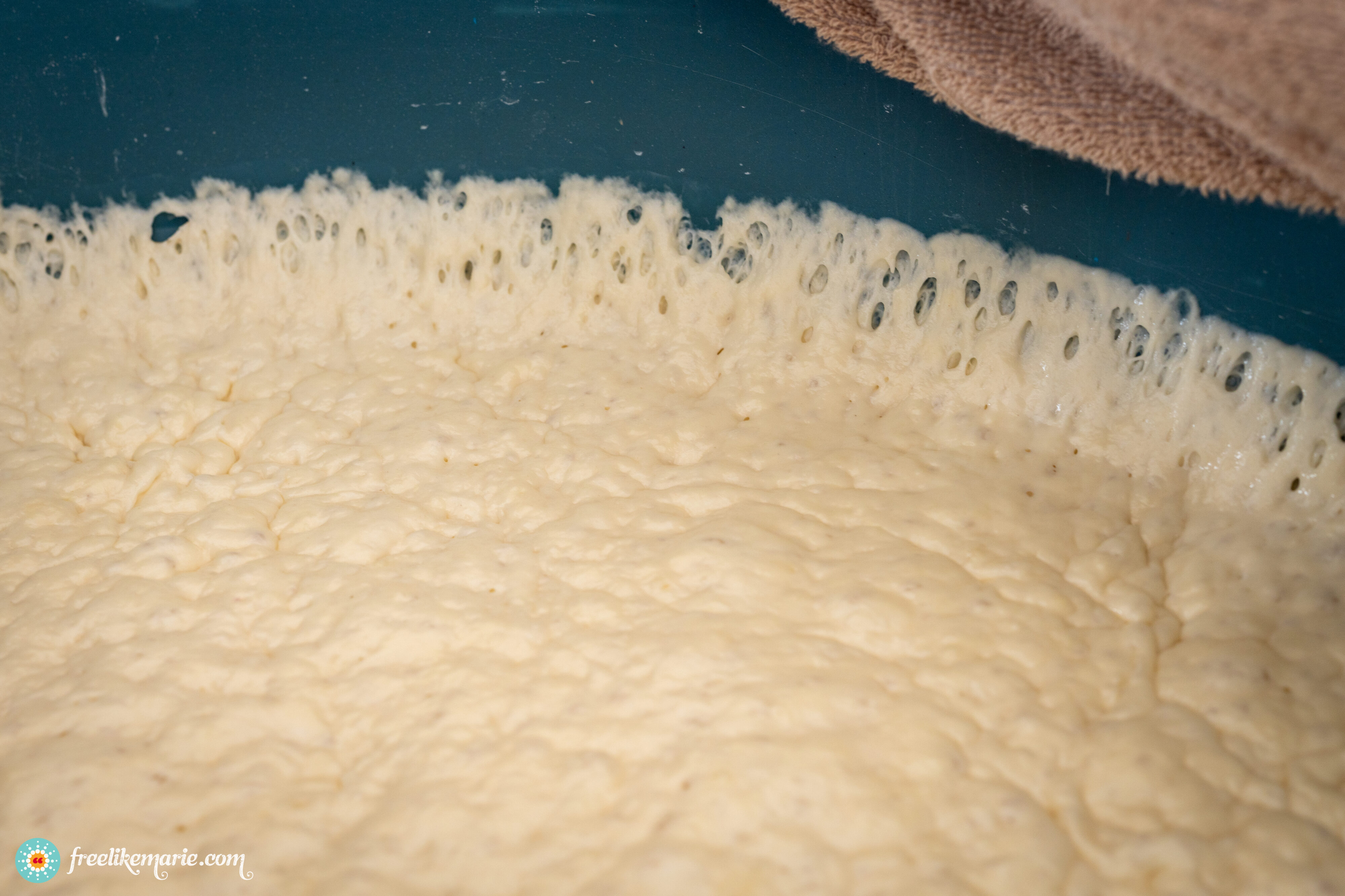 Bubbly sourdough